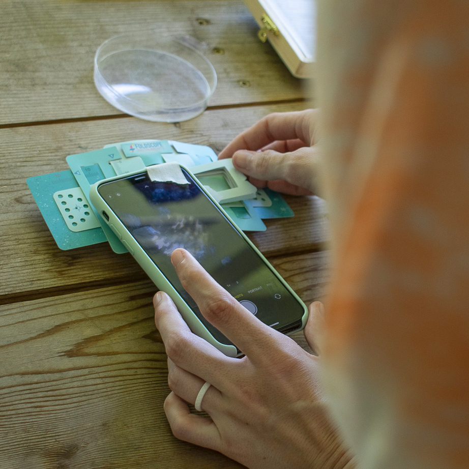 A teacher uses their mobile device’s camera to examine a microorganism through the Foldscope lens.
