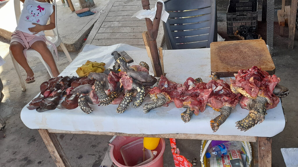 Mercado de Belén em Iquitos, Peru