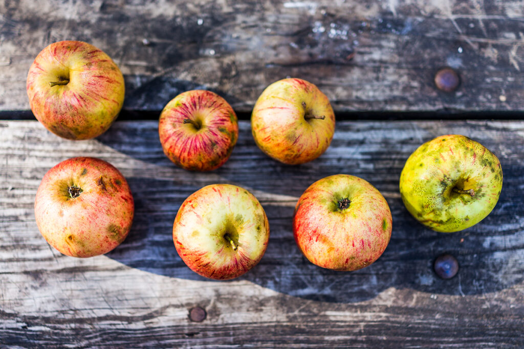 Grupo de maçãs silvestres, frescas e de jardim